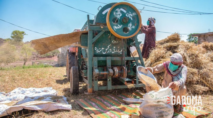 Guerre en Ukraine&nbsp;: La fin de l’accord céréalier de la mer Noire déclenche une hausse des prix des denrées alimentaires