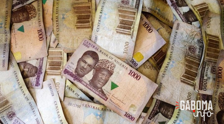 Nigeria&nbsp;: la valeur du naira divisée par 700 depuis sa création en 1973
