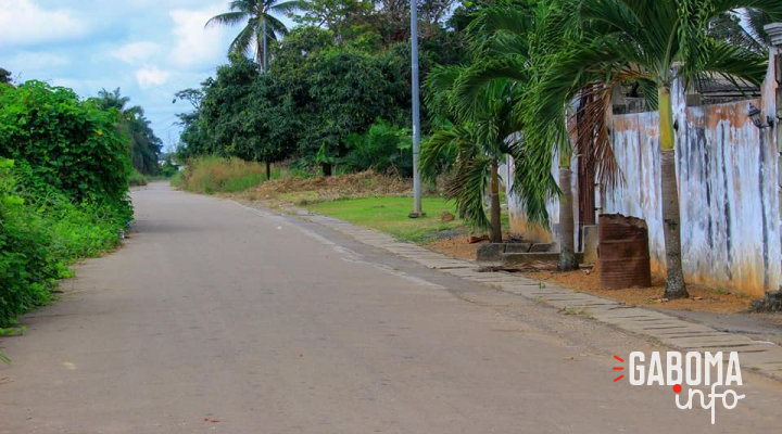 Ndéndé : Un homme parti pour récolter du vin de palme, disparait en forêt 