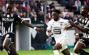 Ligue 1&nbsp;: le Stade Rennais renoue avec la victoire en dominant le SCO d’Angers de Jim Allevinah et Jacques Ekomie