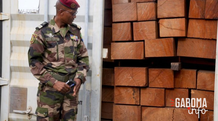 Owendo : 10 conteneurs de kevazingo retrouvés abandonnés sur le site de l’entreprise Getman