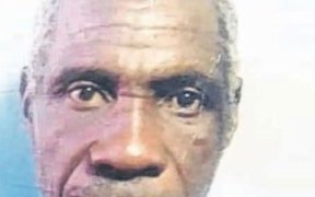 Tchibanga : Un éléphant tue encore un villageois avant de se fondre dans la nature