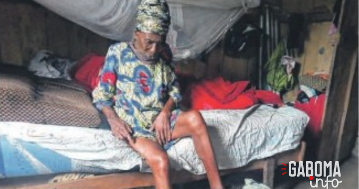 Mekambo : Une octogénaire clouée au lit après avoir tenté d’échapper à un couple d’éléphants