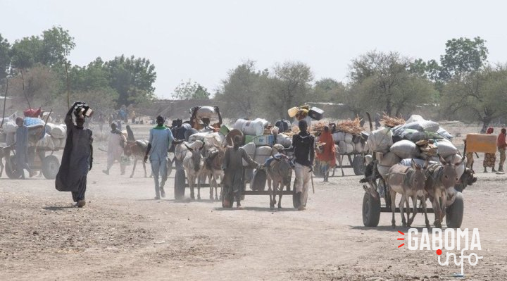 Cameroun&nbsp;: l’ONU alloue 6 millions de dollars pour les besoins vitaux humanitaires et de protection
