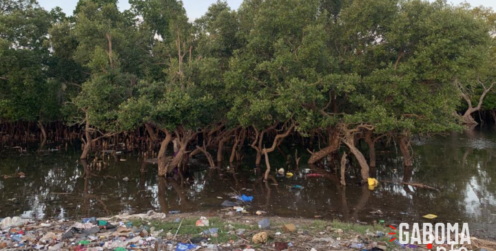 L’Afrique détient le pouvoir et les outils pour redessiner un avenir sans pollution plastique