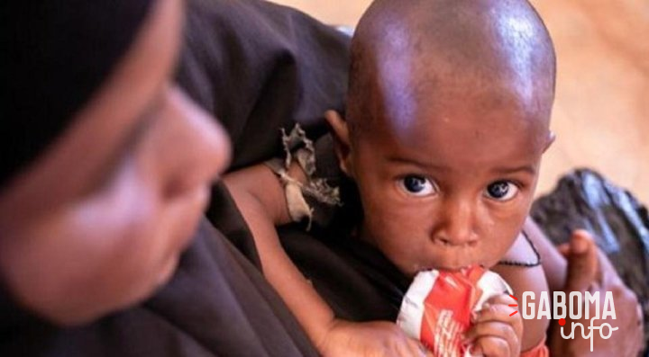 Somalie&nbsp;: Frappée par la sécheresse et la faim, le pays a besoin de 2,6 milliards de dollars