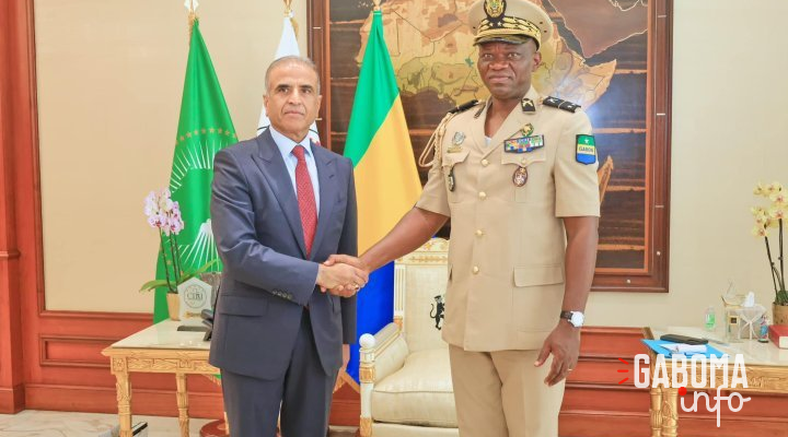 Le patron du groupe Airtel devise avec Oligui Nguema