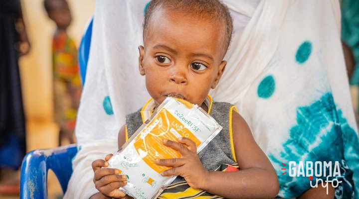 La faim s’aggrave en Afrique de l’Ouest et centrale alors que les financements manquent