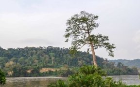 Lastoursville : Une adolescente de 16 ans emportée par les eaux de l’Ogooué