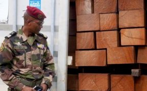 Owendo : 10 conteneurs de kevazingo retrouvés abandonnés sur le site de l’entreprise Getman