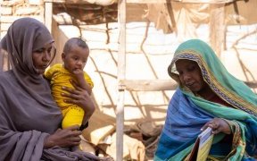 La faim risque de se propager dans 22 pays dans le monde, prévient l’ONU