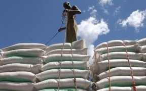 Les prix alimentaires mondiaux continuent de baisser depuis dix mois selon la FAO