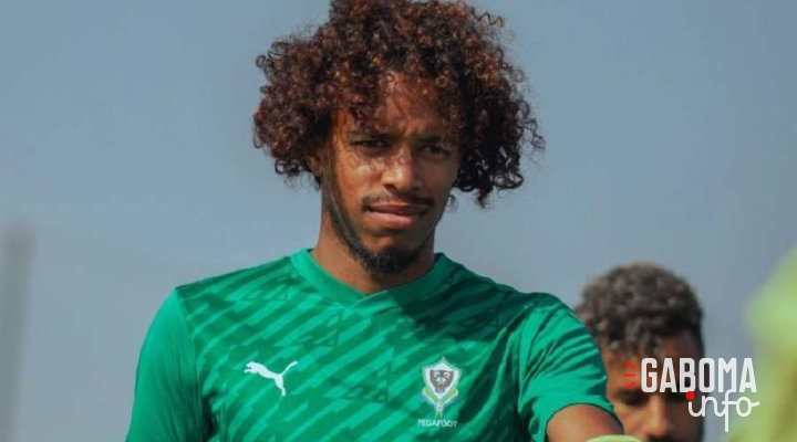 Panthères du Gabon&nbsp;: «&nbsp;L’objectif final reste la qualification pour la phase finale&nbsp;», Teddy Averlant