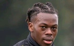 Mercato : l’Allemand Hoffenheim sur la piste du gabonais Jacques Ekomié