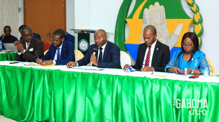 Locales 2023&nbsp;: liste complète des candidats investis par le Parti démocratique gabonais