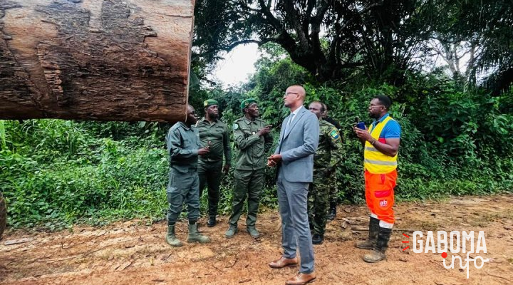 Forêt : le ministre Maurice Ntossui Allogo intensifie les contrôles sur le terrain