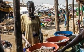 Soudan du Sud&nbsp;: l’ONU appelle à investir davantage pour éviter une crise alimentaire